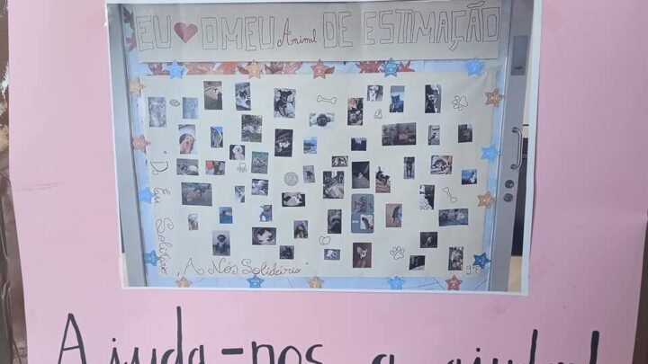 Eu Amo o Meu Animal de Estimação