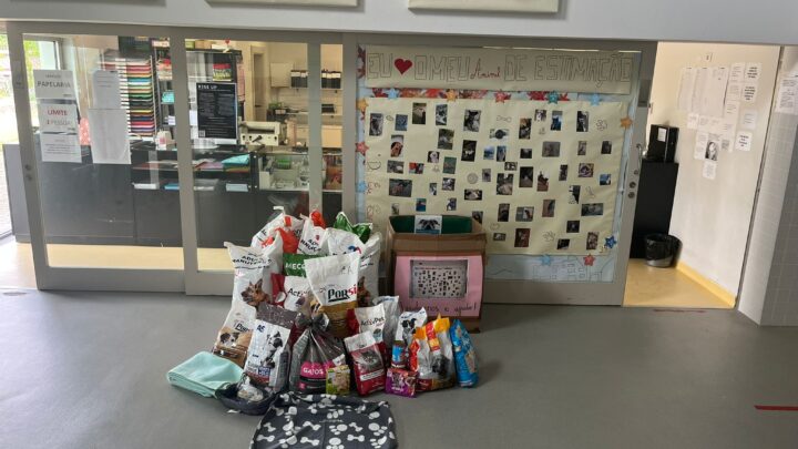 Do Eu Solitário, ao Nós Solidário