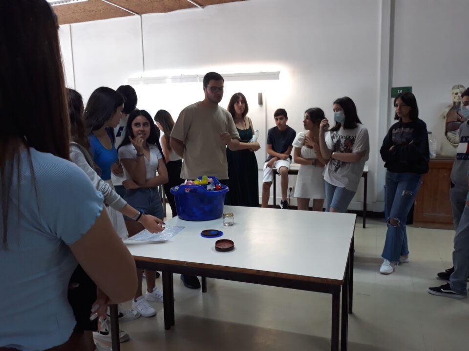 Foto 12