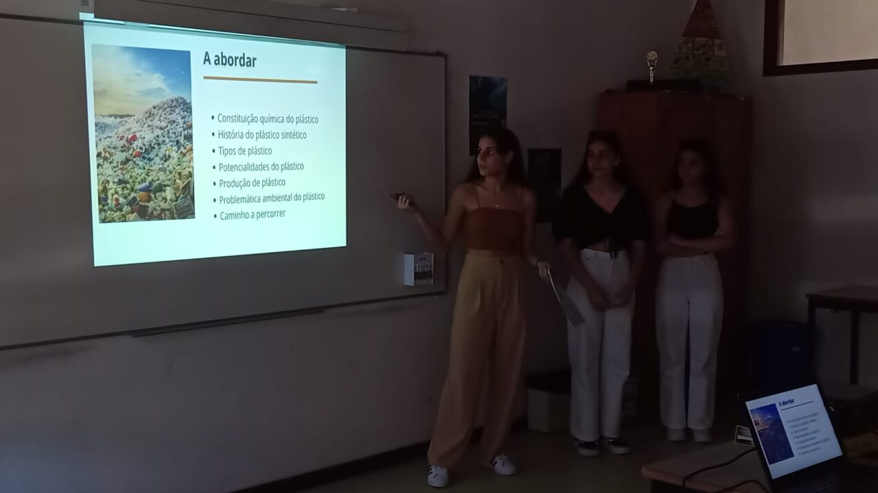 Foto 5b