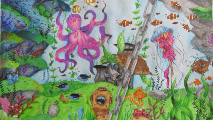 Eco-Escolas – ESMC