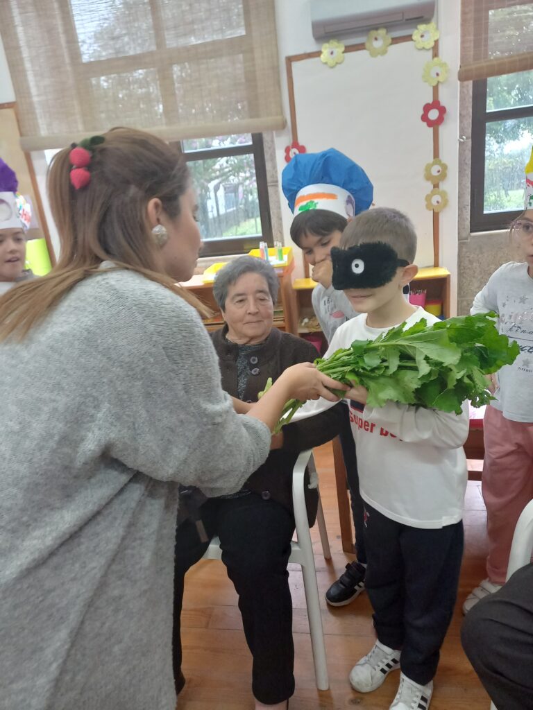 foto alimentação13