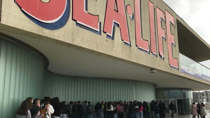 Visita de estudo do 8.º ano de Toutosa