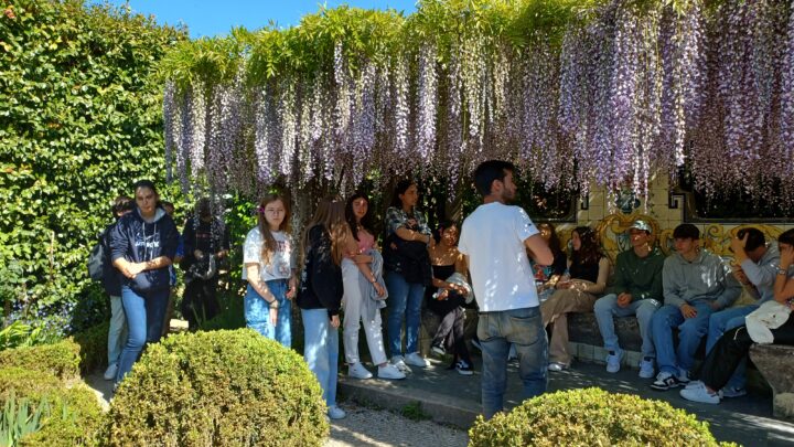 Visita guiada ao Jardim Botânico-9ºano EBT