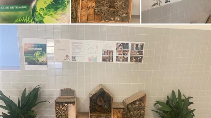 Dia Nacional da Sustentabilidade