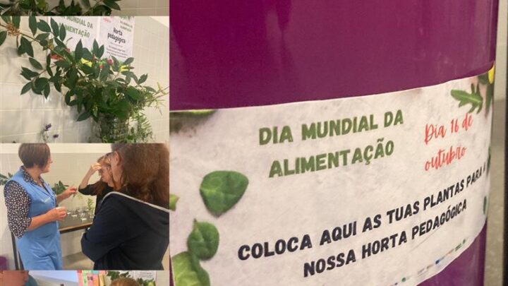 Aconteceu em Outubro II