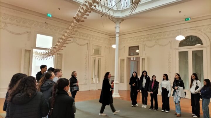 Visita de estudo à Casa Andresen