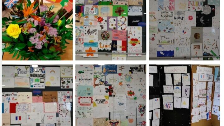 Resultados do concurso do Dia Europeu das Línguas