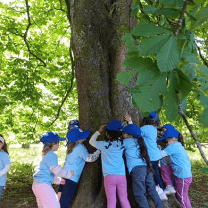 Projeto de Educação Ambiental – Pré-escolar
