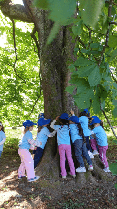 Projeto de Educação Ambiental – Pré-escolar