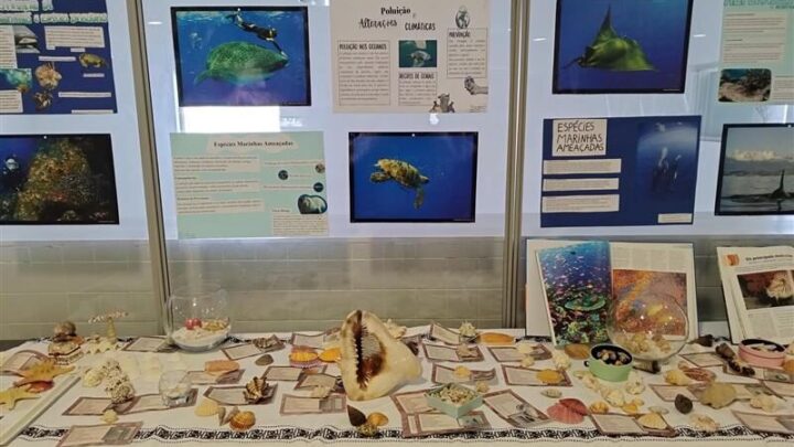 Exposição “Sai da tua concha e descobre os tesouros do oceano”