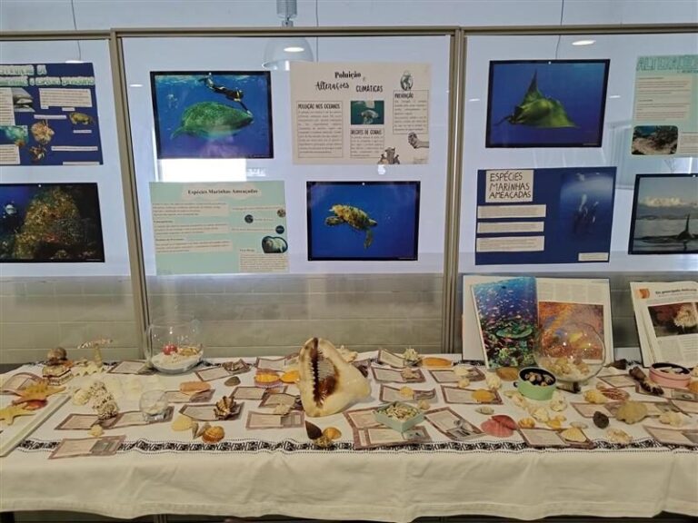 Exposição “Sai da tua concha e descobre os tesouros do oceano”