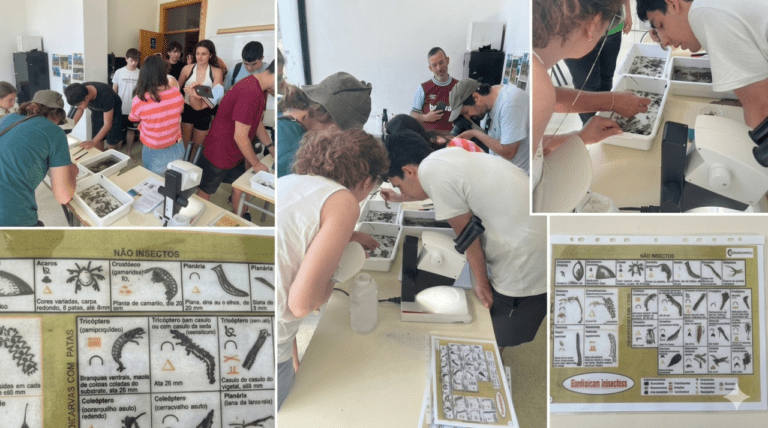 Clube Ciência Viva na Escola – Esc. Secundária – Alunos do 10.º Ano Investigam a Qualidade da Água dos Rios Tâmega e Ovelha através de Macroinvertebrados